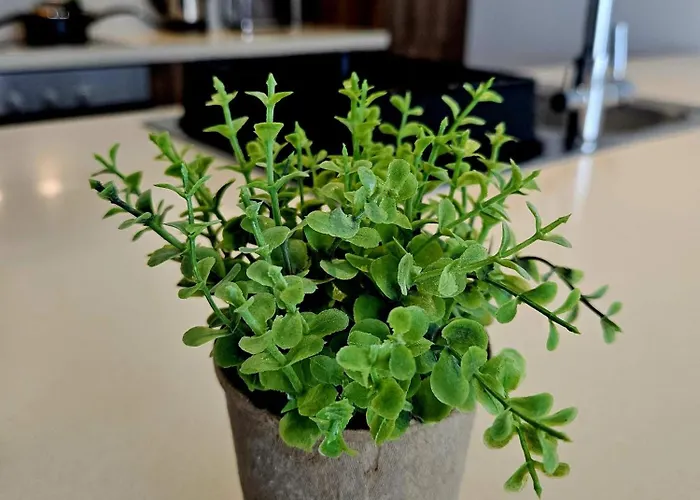 One Bedroom Apartment, Universal Residences