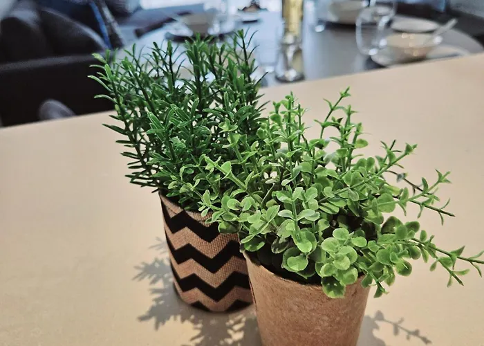 アパート One Bedroom Apartment, Universal Residences パ フォス