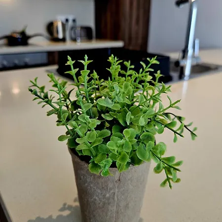 One Bedroom Apartment, Universal Residences